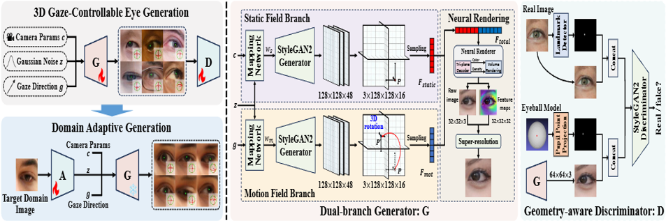 3D-Aware Eye Generation for Controllable Gaze Data Synthesis