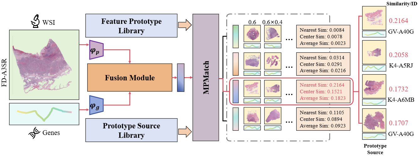 Multimodal Feature Prototype Learning for Interpretable and Discriminative Cancer Survival Prediction