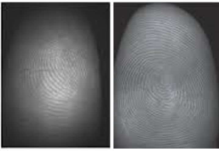 A robust contactless fingerprint enhancement algorithm