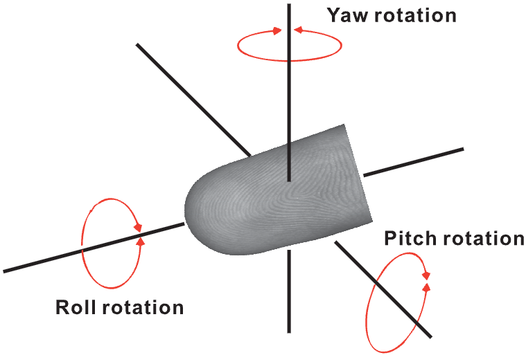 Contactless fingerprint recognition based on global minutia topology and loose genetic algorithm