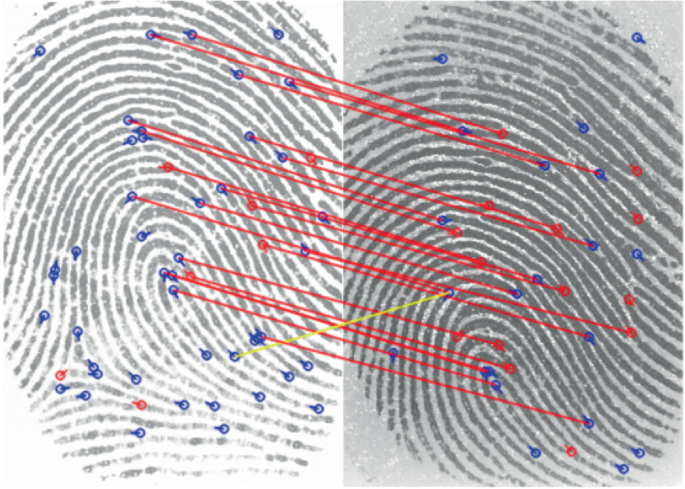 Robust fingerprint matching based on convolutional neural networks