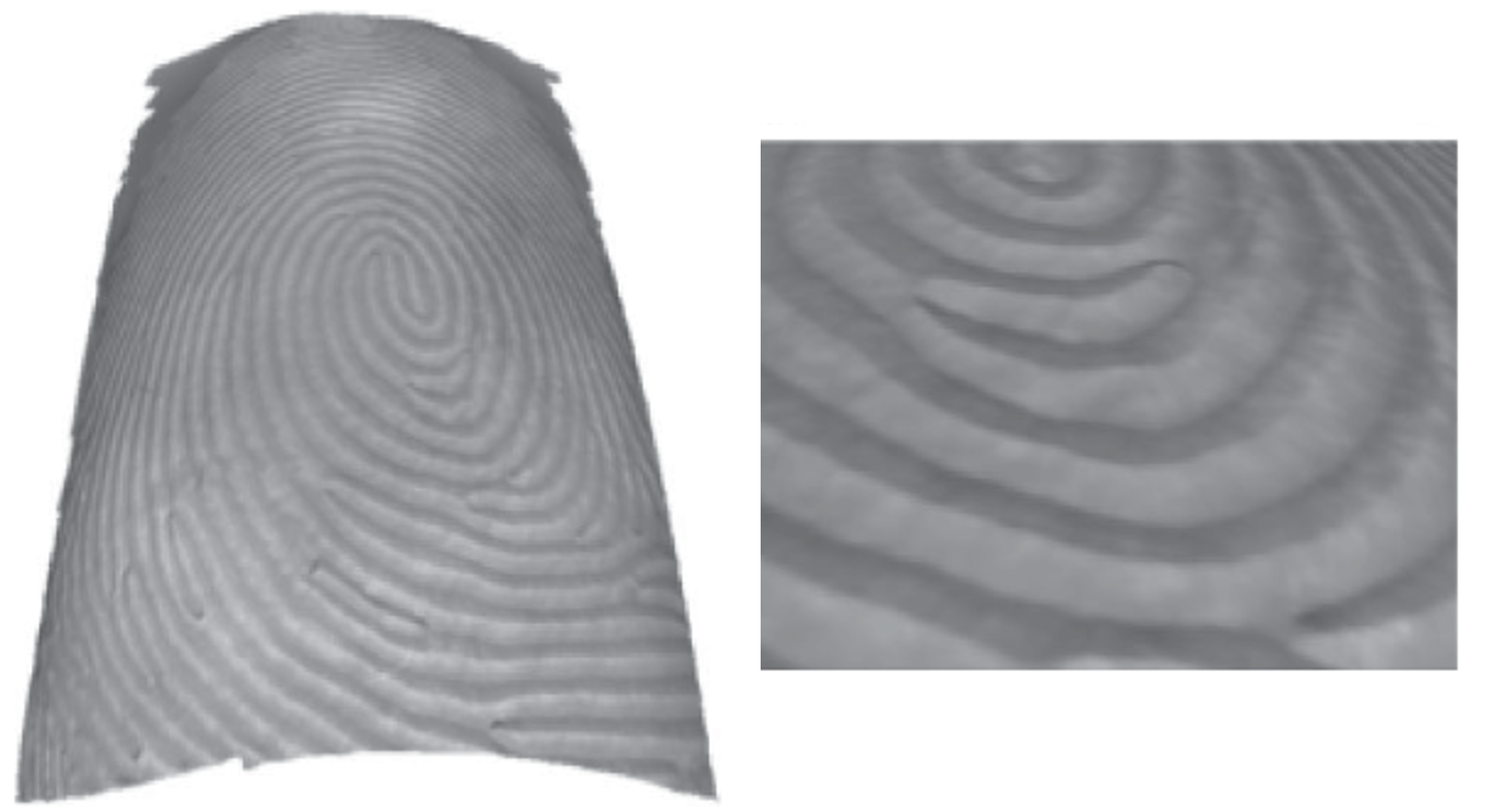 3D fingerprint recognition based on ridge-valley-guided 3D reconstruction and 3D topology polymer feature extraction