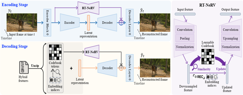 RT-NeRV: Rethinking Hybrid Neural Representations for Video via Residual Tokenization